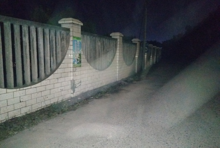 除草刷墻灑汗水，苗圃外貌換新顏