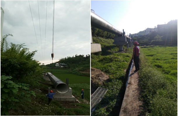 節(jié)物風(fēng)光不相待，滄海桑田須臾改