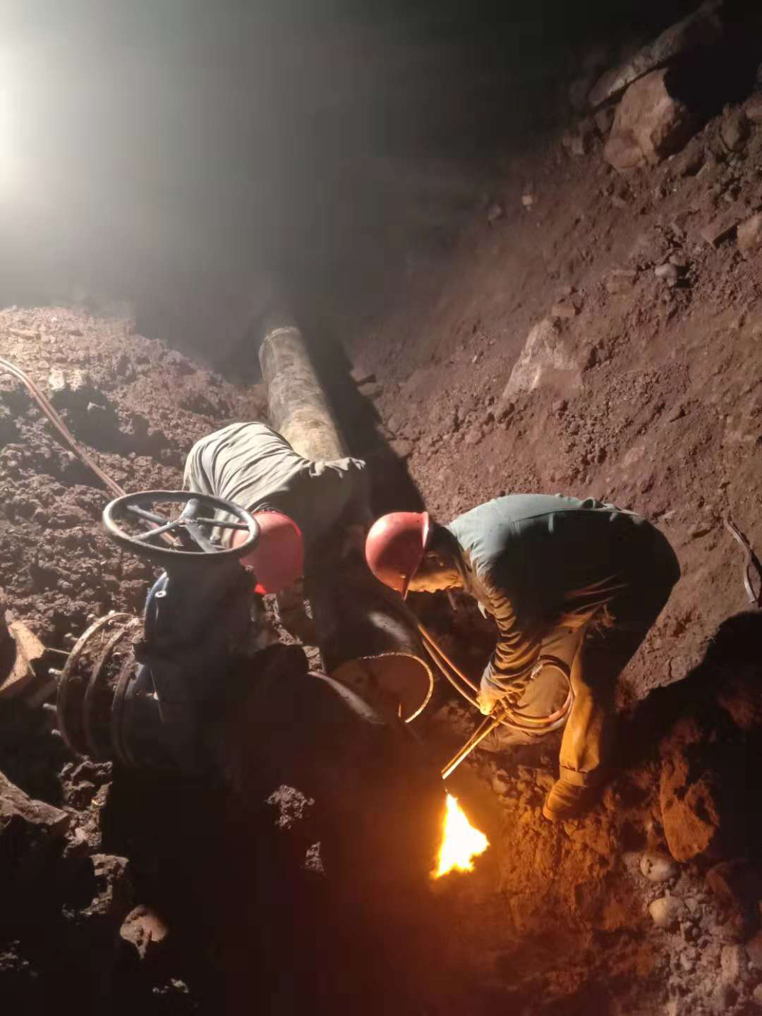 寒冷冬夜，這里溫暖如春