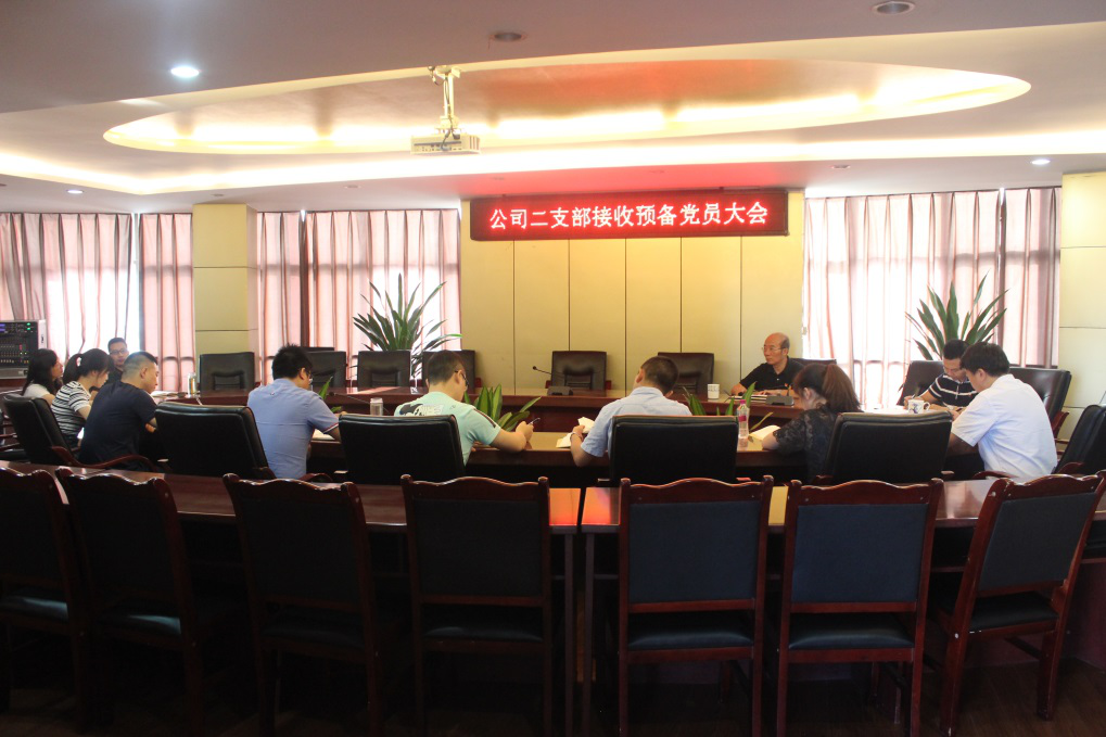 集團(tuán)公司二支部召開(kāi)黨員大會(huì)