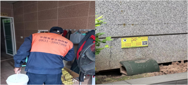 樹文明促健康，綠色環(huán)保護家園