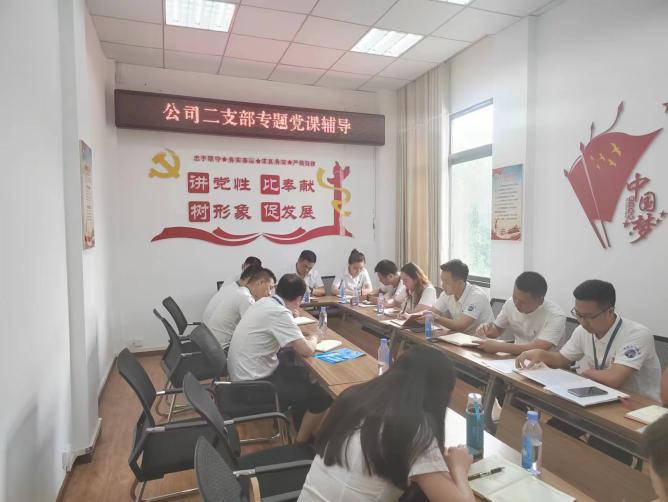 公司二支部開展“齊力共進、強企有我” 主題黨日活動